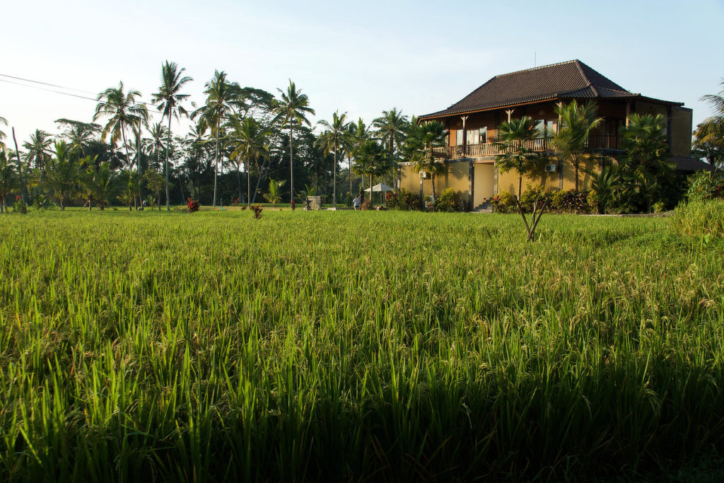 Petit hôtel de charme au milieu des rizières balinaises