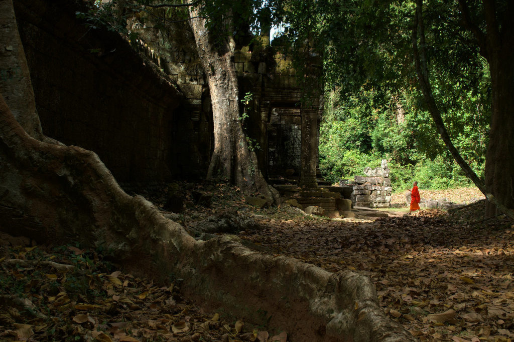 Moine en visite dans le Preah Khan