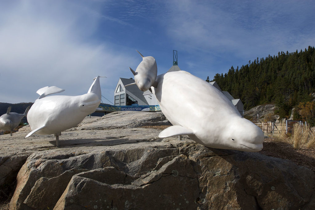 Sculpture de Tadoussac