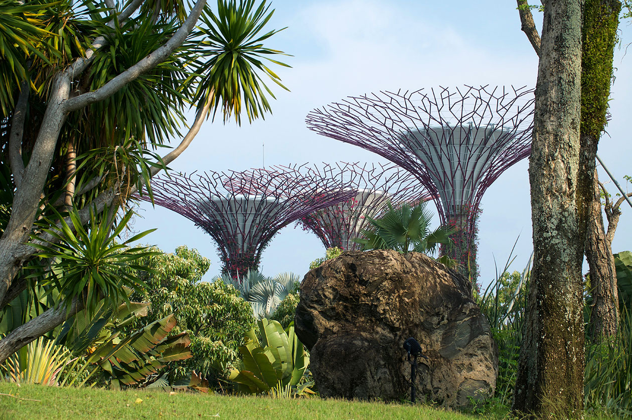 Les Supertrees