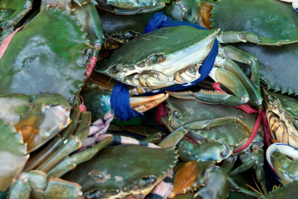 Sur le marché aux crabes de Kep